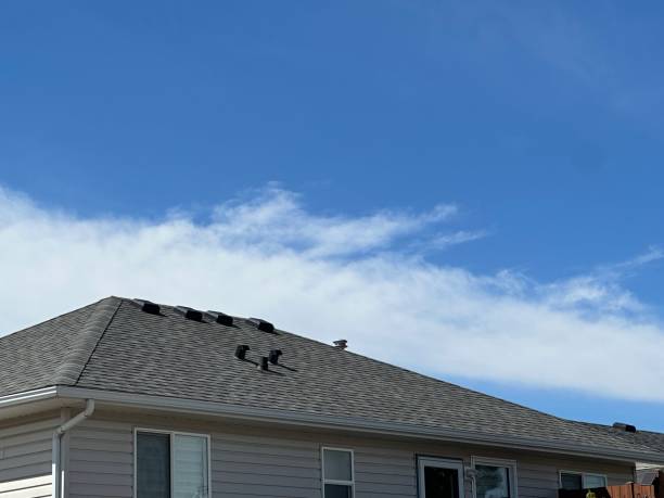 Best Steel Roofing  in Millbrae, CA